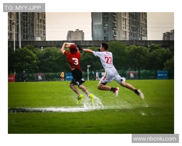 飞盘运动中的心理素质探讨：南京飞盘队的心态与表现分析MBA